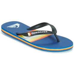 Quiksilver Molokai Resin Tint
