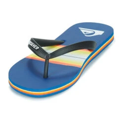 Quiksilver Molokai Resin Tint -André || Columbia || Quiksilver Verkoop 21207318 500 C