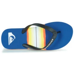 Quiksilver Molokai Resin Tint -André || Columbia || Quiksilver Verkoop 21207318 500 F